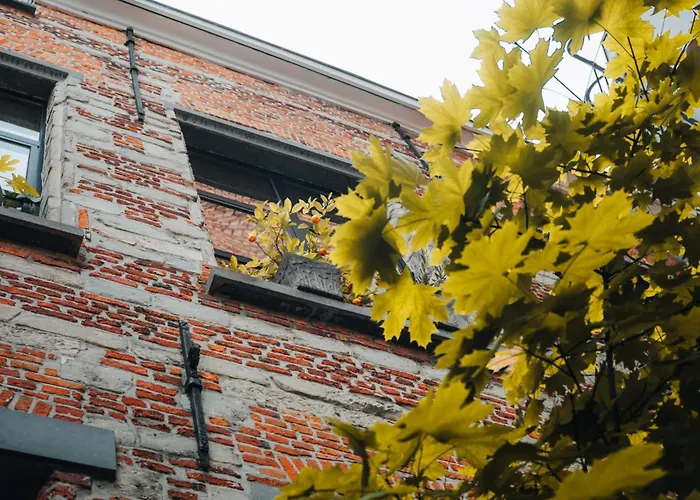 Duplex In Historical Centre With Private Courtyard