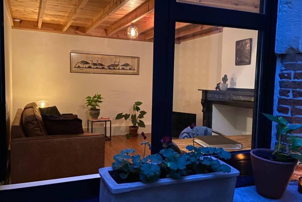 Apartment Duplex In Historical Centre With Private Courtyard Antwerp