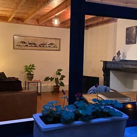 Apartamento Duplex In Historical Centre With Private Courtyard Amberes Exterior foto